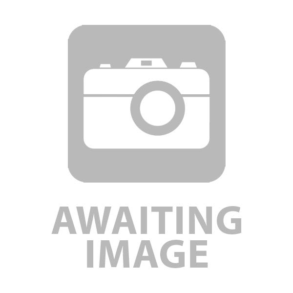 Black belt program shorts